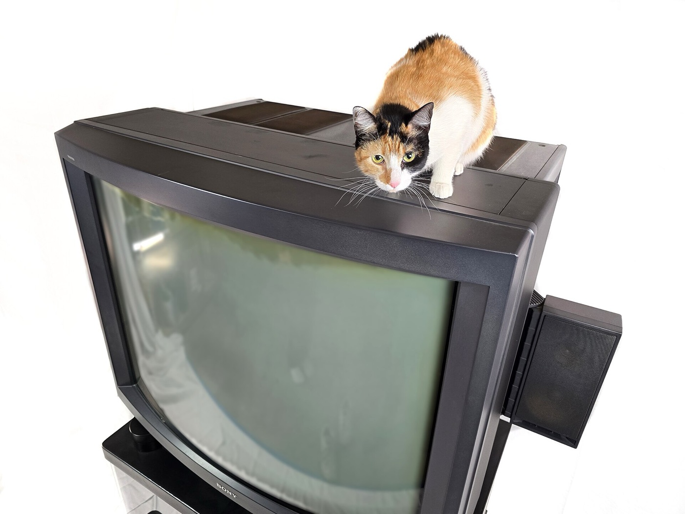 A cat sitting beside the giant Sony PVM-4300 picture tube for scale
